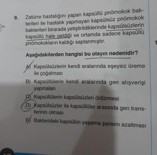 9.
Zatürre hastalığını yapan kapsüllü pnömokok bak-
terileri ile hastalık yapmayan kapsülsüz pnömokok
bakterileri birarada yetiştirildiklerinde kapsülsüzlerin
kapsüllü hale geldiği ve ortamda sadece kapsüllü
pnömokokların kaldığı saptanmıştır.
Aşağıdakiler