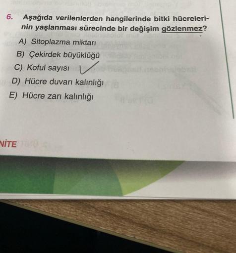 6. Aşağıda verilenlerden hangilerinde bitki hücreleri-
nin yaşlanması sürecinde bir değişim gözlenmez?
A) Sitoplazma miktarı
B) Çekirdek büyüklüğü
C) Koful sayısı
D) Hücre duvarı kalınlığı
E) Hücre zarı kalınlığı
NITE THUS