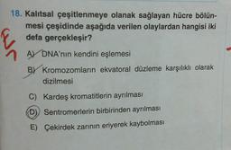 18. Kalıtsal çeşitlenmeye olanak sağlayan hücre bölün-
mesi çeşidinde aşağıda verilen olaylardan hangisi iki
defa gerçekleşir?
A DNA'nın kendini eşlemesi
BY Kromozomların ekvatoral düzleme karşılıklı olarak
dizilmesi
C) Kardeş kromatitlerin ayrılması
(D) Sentromerlerin birbirinden ayrılması
E) Çekirdek zarının eriyerek kaybolması