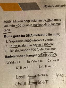 3000 hidrojen bağı bulunan bir DNA mole-
külünde 400 quanin nükleotidi bulunmak-
tadır.
Nükleik Asitlerin
Buna göre bu DNA molekülü ile ilgili;
1. Yapısında 2600 nükleotit vardır.
II. Pürin bazlarının sayısı 1300'dür.
III. Bir zincirinde 1300 fosfat bulunur.
ifadelerinden hangileri doğrudur?
B) Yalnız III
D) II ve III
A) Yalnız I
4206+
400 A
C) I ve II
E) I, II ve III
hoos
4567
400
2