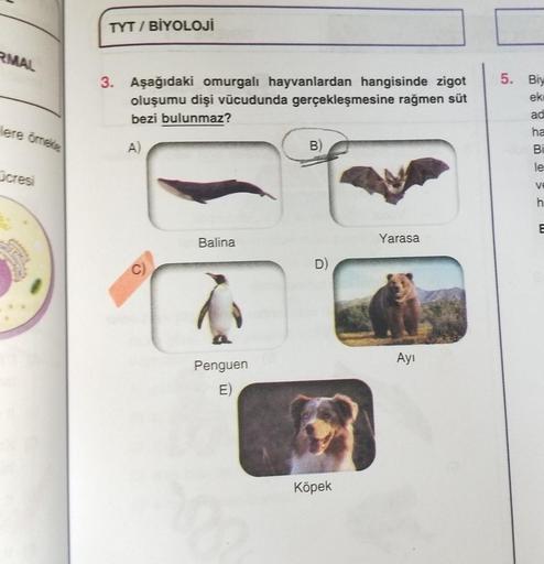 RMAL
lere ömerte
Dicresi
TYT/BİYOLOJİ
3. Aşağıdaki omurgalı hayvanlardan hangisinde zigot
oluşumu dişi vücudunda gerçekleşmesine rağmen süt
bezi bulunmaz?
A)
Balina
Penguen
E)
B)
D)
Köpek
Yarasa
Ayı
5. Biy
ek
ad
ha
Bi
le
Ve
h