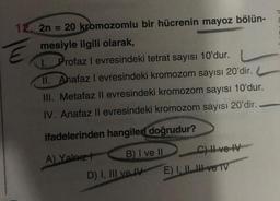 E
2n
=
20 kromozomlu bir hücrenin mayoz bölün-
mesiyle ilgili olarak,
I. Profaz I evresindeki tetrat sayısı 10'dur.
11. Anafaz I evresindeki kromozom sayısı 20'dir.
III. Metafaz II evresindeki kromozom sayısı 10'dur.
IV. Anafaz II evresindeki kromozom sayısı 20'dir.
ifadelerinden hangileri doğrudur?
A) Yalnız
B) I ve II
D) I, III ve IV
C) I ve IV
E) I, Ive TV