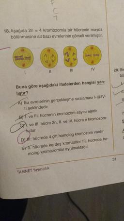 18. Aşağıda 2n = 4 kromozomlu bir hücrenin mayoz
bölünmesine ait bazı evrelerinin görseli verilmiştir.
1
11
C
1
IV
Buna göre aşağıdaki ifadelerden hangisi yan-
lıştır?
A) Bu evrelerinin gerçekleşme sıralaması I-III-IV-
Il şeklindedir
B) 1. ve III. hücrenin kromozom sayısı eşittir
I. ve III. hücre 2n, II. ve IV. hücre n kromozom-
tudur
TAMNET Yayıncılık
D). hücrede 4 çift homolog kromozom vardır
E) 11. hücrede kardeş kromatitler III. hücrede ho-
molog kromozomlar ayrılmaktadır
20. Bir
bö
k
11.
11
31
$
C