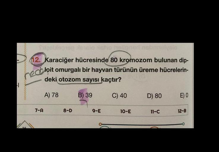 HI
Tapobiegne lesio sho heligneri nebanalysio
12. Karaciğer hücresinde 80 kromozom bulunan dip-
recolpit omurgalı bir hayvan türünün üreme hücrelerin-
deki otozom sayısı kaçtır?
A) 78
B) 39
C) 40
7-A
8-D
9-E
10-E
D) 80
11-C
E) 0
12-B