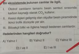 Bir ekosistemde bulunan canlılar ile ilgili,
I. Ototrof canlıların tamamı besin sentezi sırasında
karbon kaynağı olarak CO₂ kullanır.
II. Kesici dişleri gelişmiş olan otçullar besin piramidinde-
ikinci trofik düzeyde yer alır.
III. Böcekçil bitki ve öglena hepçil beslenen canlılardır.
ifadelerinden hangileri doğrudur?
A) Yalnız I
B) Yalnız II
D) I ve II
C) Yalnız III
E) I ve III