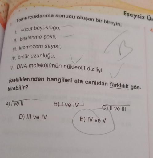 Tomurcuklanma sonucu oluşan bir bireyin;
1. vücut büyüklüğü,-
II. beslenme şekli,
III. kromozom sayısı,
IV. ömür uzunluğu,
V. DNA molekülünün nükleotit dizilişi
özelliklerinden hangileri ata canlıdan farklılık gös-
terebilir?
A) I've II
D) III ve IV
B) I v