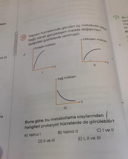 tein
ve III
na
avyayin
10
Hayvan hücrelerinde görülen üç metabolik olaya
bağlı olarak gerçekleşen madde değişimleri
aşağıdaki grafiklerde verilmiştir.
Protein miktarı
t
A) Yalnız I
Yağ miktarı
D) II ve III
Glikojen miktarı
Buna göre, bu metabolizma olaylar