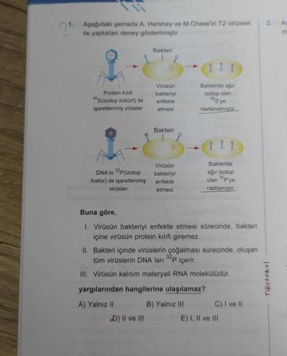 1.
Aşağıdaki şemada A. Hershey ve M.Chase'in T2 virüsleri
ile yaptıkları deney gösterilmiştir.
Protein kilifi
35S(izotop kükürt) ile
işaretlenmiş virüsler
DNA'SI 32P(izotop
fosfor) ile işaretlenmiş
virüsler
Bakteri
8
D) II ve III
Virüsün
bakteriyi
enfekte