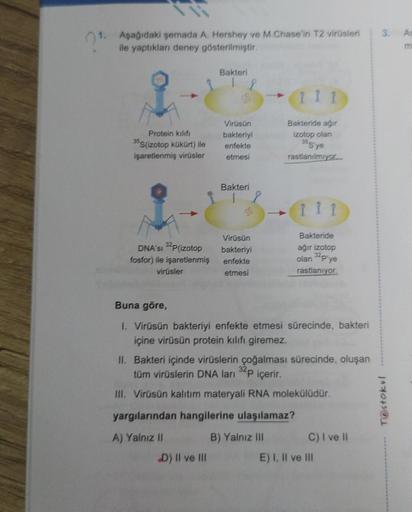 1.
Aşağıdaki şemada A. Hershey ve M.Chase'in T2 virüsleri
ile yaptıkları deney gösterilmiştir.
Protein kilifi
35S(izotop kükürt) ile
işaretlenmiş virüsler
DNA'SI 32P(izotop
fosfor) ile işaretlenmiş
virüsler
Bakteri
8
D) II ve III
Virüsün
bakteriyi
enfekte
