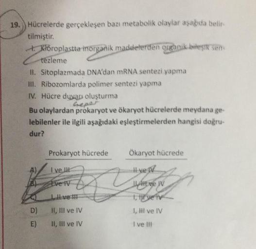 19. Hücrelerde gerçekleşen bazı metabolik olaylar aşağıda belir
tilmiştir.
II. Sitoplazmada DNA'dan mRNA sentezi yapma
III. Ribozomlarda polimer sentezi yapma
IV. Hücre duvarı oluşturma
Geper
Bu olaylardan prokaryot ve ökaryot hücrelerde meydana ge-
lebile