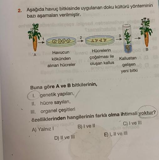 2. Aşağıda havuç bitkisinde uygulanan doku kültürü yönteminin
bazı aşamaları verilmiştir.
7
A
Havucun 10 SH
kökünden
alınan hücreler
ielgoed.nebyeinalboy shiper
semelhetelin Ad
3
4
A) Yalnız I
Hücrelerin
çoğalması ile
Buna göre A ve B bitkilerinin,
I. gene