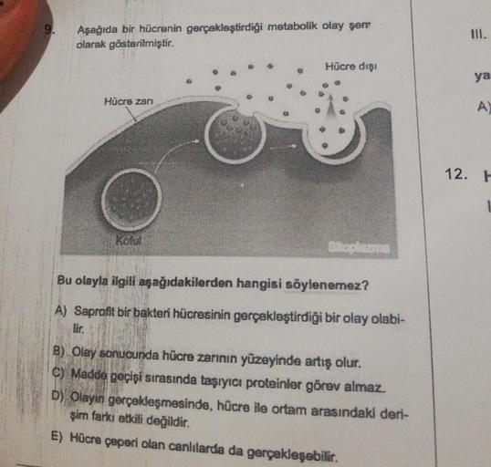 9.
Aşağıda bir hücrenin gerçekleştirdiği metabolik olay şem
olarak gösterilmiştir.
Kam
Hücre dışı
Bu olayla ilgili aşağıdakilerden hangisi söylenemez?
A) Saprofit bir bakteri hücresinin gerçekleştirdiği bir olay olabi-
B) Olay sonucunda hücre zarının yüzey