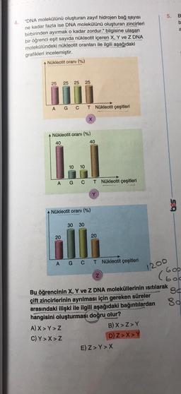 4.
"DNA molekülünü oluşturan zayıf hidrojen bağ sayısı
ne kadar fazla ise DNA molekülünü oluşturan zincirleri
birbirinden ayırmak o kadar zordur." bilgisine ulaşan
bir öğrenci eşit sayıda nükleotit içeren X, Y ve Z DNA
molekülündeki nükleotit oranları ile ilgili aşağıdaki
grafikleri incelemiştir.
Nükleotit oranı (%)
25
25 25 25
A G C T Nükleotit çeşitleri
A Nükleotit oranı (%)
40
İ..
10 10
A G C T Nükleotit çeşitleri
20
X
A Nükleotit oranı (%)
30 30
40
20
AGC T Nükleotit çeşitleri
Z
5.
E) Z>Y>X
1200
589
Bu öğrencinin X, Y ve Z DNA moleküllerinin ısıtılarak
çift zincirlerinin ayrılması için gereken süreler
arasındaki ilişki ile ilgili aşağıdaki bağıntılardan
hangisini oluşturması doğru olur?
A) X>Y>Z
B) X>Z>Y
C)Y>X>Z
D) Z>X>Y
B
a
600
(600
8
8d