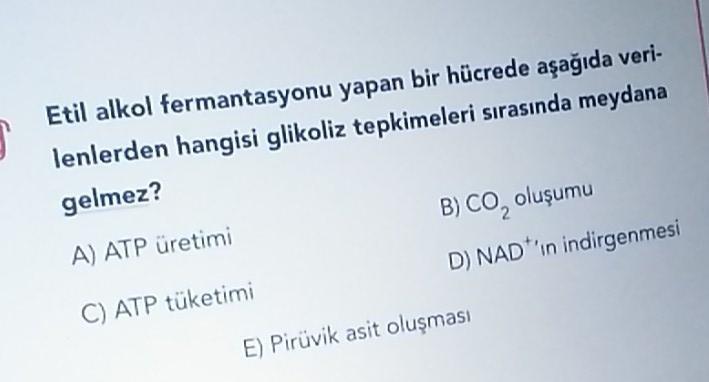 Etil alkol fermantasyonu yapan bir hücrede aşağıda veri-
lenlerden hangisi glikoliz tepkimeleri sırasında meydana
gelmez?
A) ATP üretimi
C) ATP tüketimi
B) CO₂ oluşumu
D) NAD'in indirgenmesi
E) Pirüvik asit oluşması