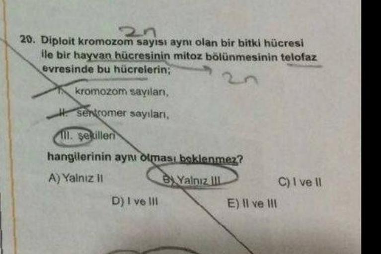 2n
20. Diploit kromozom sayısı aynı olan bir bitki hücresi
ile bir hayvan hücresinin mitoz bölünmesinin telofaz
evresinde bu hücrelerin;
kromozom sayılanı,
sentromer sayıları,
ll. şekilleri
hangilerinin aynı olması beklenmez?
A) Yalnız il
By Yalnız III
D)