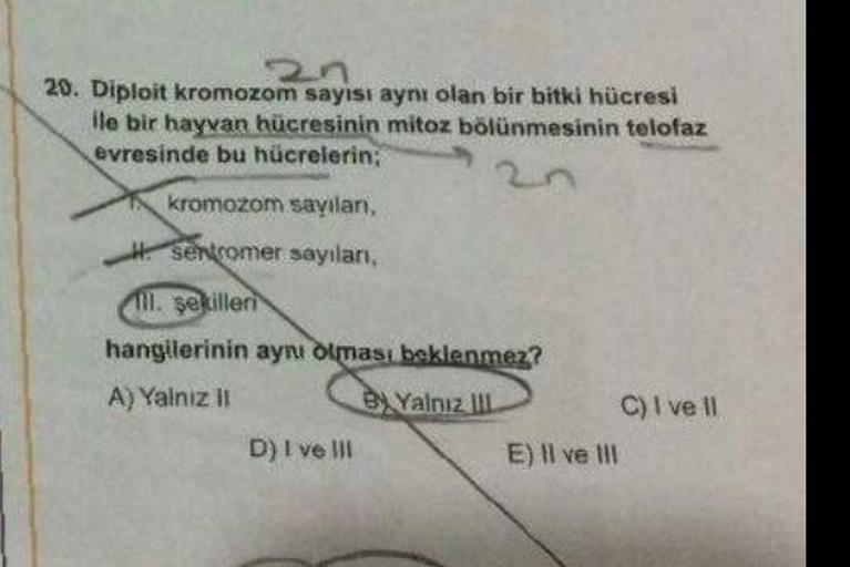 2n
20. Diploit kromozom sayısı aynı olan bir bitki hücresi
ile bir hayvan hücresinin mitoz bölünmesinin telofaz
evresinde bu hücrelerin;
kromozom sayılanı,
sentromer sayıları,
ll. şekilleri
hangilerinin aynı olması beklenmez?
A) Yalnız il
By Yalnız III
D) 