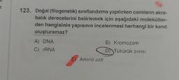 123. Doğal (filogenetik) sınıflandırma yapılırken canlıların akra-
balık derecelerini belirlemek için aşağıdaki moleküller-
den hangisinin yapısının incelenmesi herhangi bir kanıt
oluşturamaz?
A) DNA
C) rRNA
E) Amino asit
B)
Kromozom
D) Tükürük sIVISI