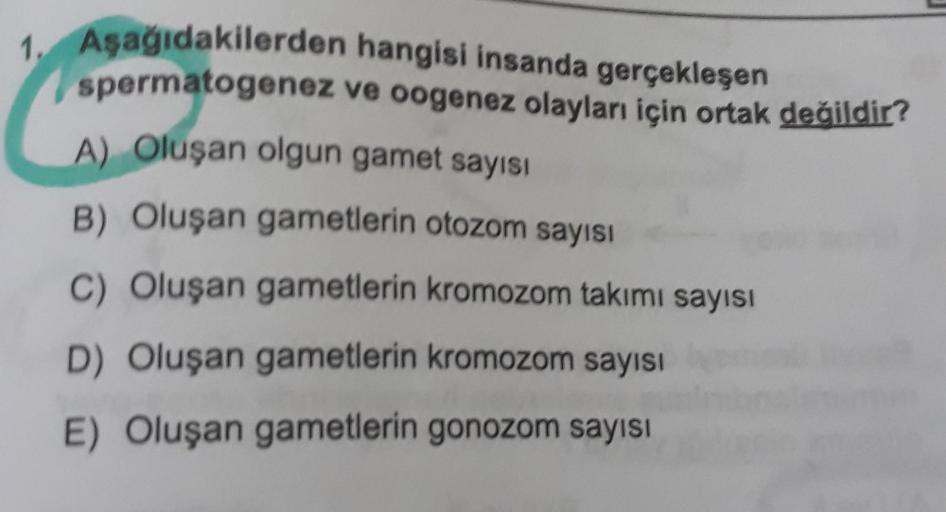 1. Aşağıdakilerden
spermatogenez
hangisi insanda gerçekleşen
ve oogenez olayları için ortak değildir?
A) Oluşan olgun gamet sayısı
B) Oluşan gametlerin otozom sayısı
C) Oluşan gametlerin kromozom takımı sayısı
D) Oluşan gametlerin kromozom sayısı
E) Oluşan