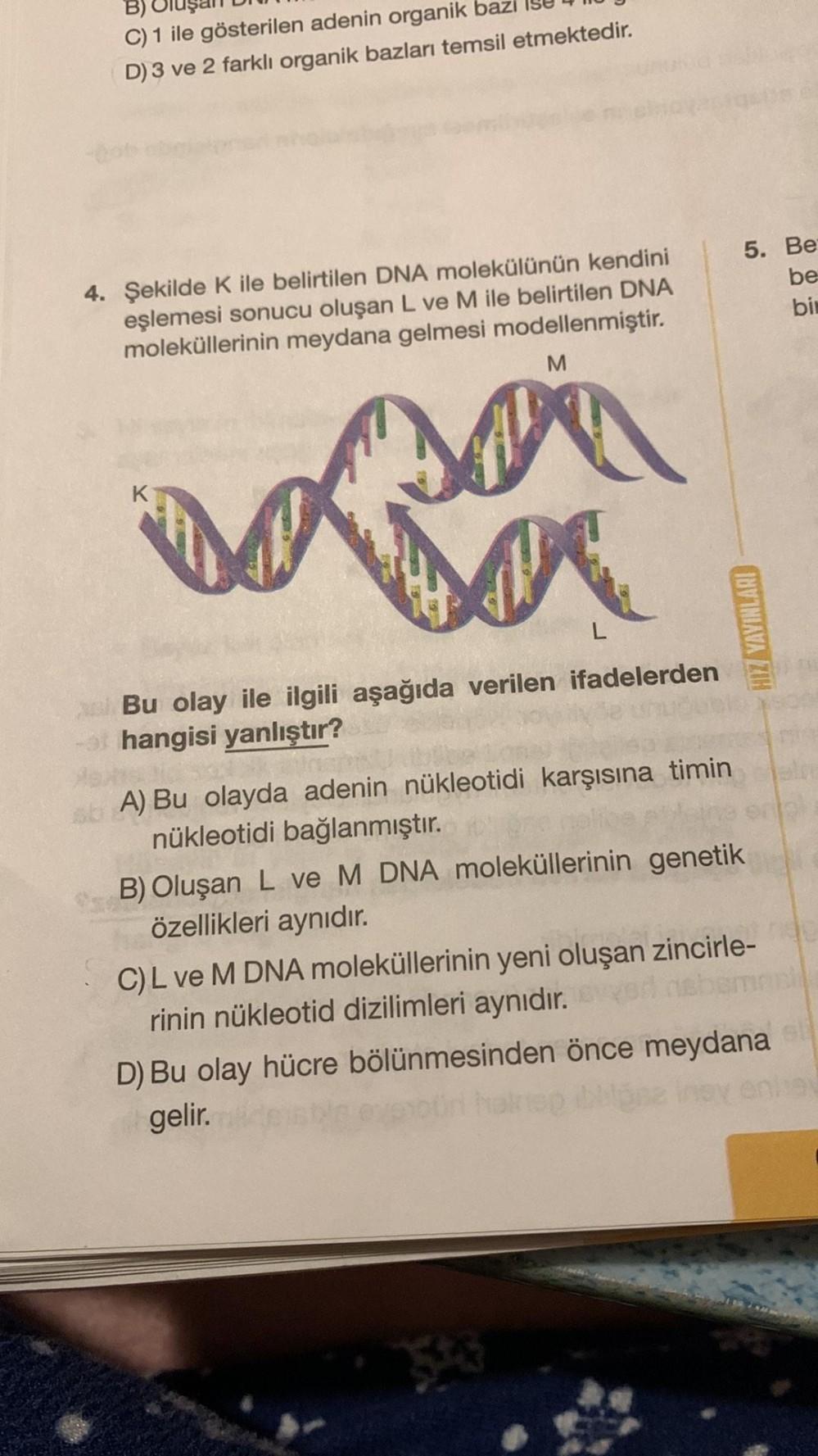 C) 1 ile gösterilen adenin organik baz
D) 3 ve 2 farklı organik bazları temsil etmektedir.
4. Şekilde K ile belirtilen DNA molekülünün kendini
eşlemesi sonucu oluşan L ve M ile belirtilen DNA
moleküllerinin meydana gelmesi modellenmiştir.
M
L
Bu olay ile i