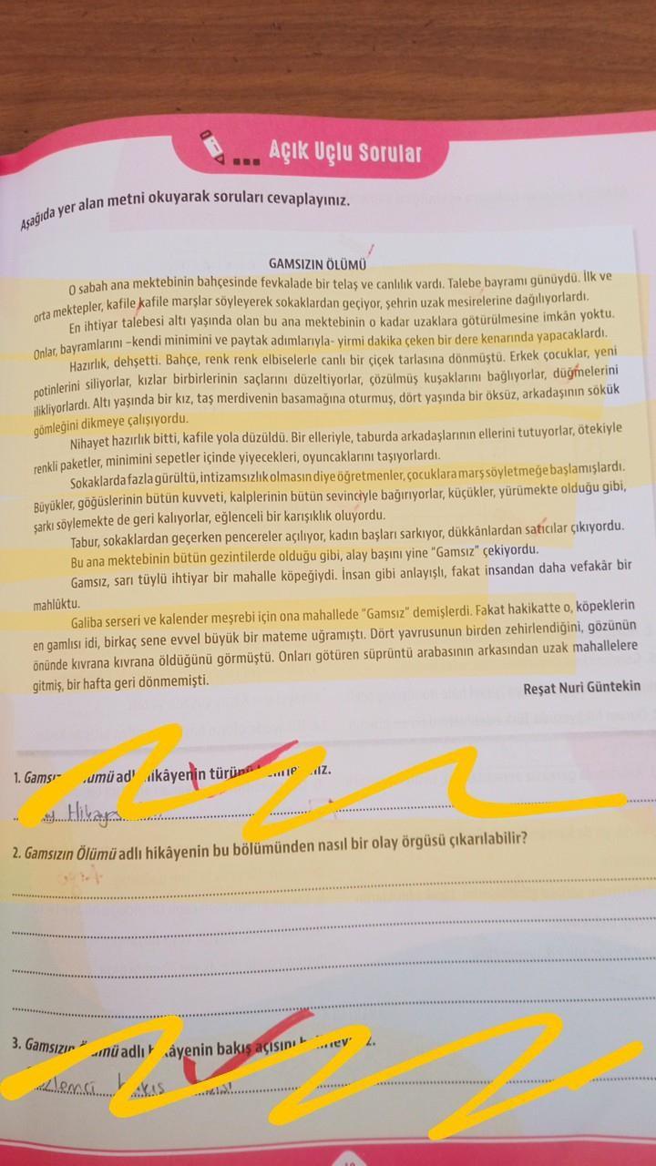 Aşağıda yer alan metni okuyarak soruları cevaplayınız.
Açık Uçlu Sorular
GAMSIZIN ÖLÜMÜ
O sabah ana mektebinin bahçesinde fevkalade bir telaş ve canlılık vardı. Talebe bayramı günüydü. İlk ve
orta mektepler, kafile kafile marşlar söyleyerek sokaklardan geç