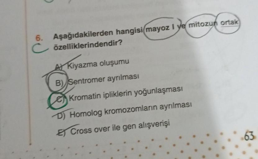 6. Aşağıdakilerden hangisi(mayoz I ye mitozun ortak
C özelliklerindendir?
A Kiyazma oluşumu
B) Sentromer ayrılması
Kromatin ipliklerin yoğunlaşması
D) Homolog kromozomların ayrılması
E Cross over ile gen alışverişi
63