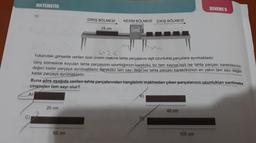 MATEMATIK
19.
A)
GİRİŞ BÖLMESİ
20 cm
25 cm
65 cm
KESİM BÖLMESİ
Yukarıdaki görselde verilen özel üretim makine tahta parçalarını eşit uzunlukta parçalara ayırmaktadır.
Giriş bölmesine koyulan tahta parçasının uzunluğunun karekökü bir tam sayıya eşit ise tahta parçası karekökünün
değeri kadar parçaya ayrılmaktadır, karekökü tam sayı değil ise tahta parçası karekökünün en yakın tam sayı değeri
kadar parçaya ayrılmaktadır.
Buna göre aşağıda verilen tahta parçalarından hangisinin makineden çıkan parçalarının uzunlukları santimetre
cinsinden tam sayı olur?
ÇIKIŞ BÖLMESİ
B)
DENEME 6
40 cm
105 cm