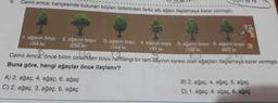 9.
Cemil amca, bahçesinde bulunan boyları birbirinden farklı altı ağacı ilaçlamaya karar vermiştir.
1. ağacın boyu 2. ağacın boyu
√64 br.
1256 br.
18
A) 2. ağaç, 4. ağaç, 6. ağaç
C) 2. ağaç, 3. ağaç, 6. ağaç
Uplé 18
3. ağacın boyu 4. ağacın boyu 5. ağacın boyu 6. ağacın boyu
√144 br.
100 br.
625 br.
181 br.
T
O
Cemil Amca, önce birim cinsinden boyu herhangi bir tam sayının karesi olan ağaçları ilaçlamaya karar vermiştir.
Buna göre, hangi ağaçlar önce ilaçlanır?
B) 2. ağaç, 4. ağaç,
5. ağaç
D) 1. ağaç, 4. ağaç, 6. ağaç