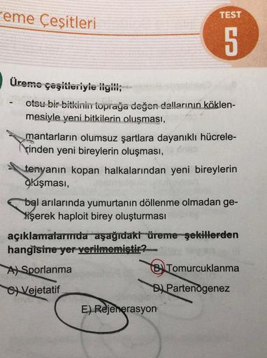 reme Çeşitleri
Üreme çeşitleriyle ilgili;
otsu bir bitkinin toprağa değon dallarının köklen-
mesiyle yeni bitkilerin oluşması,
TEST
5
mantarların olumsuz şartlara dayanıklı hücrele-
rinden yeni bireylerin oluşması, inso
tenyanın kopan halkalarından yeni bi