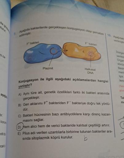 da göster
turur.
ş zar
aşağıda
tir.
i korume
otit d
cak b
Aşağıda bakterilerde gerçekleşen konjugasyon olayı şematize
edilmiştir.
F* bakteri
Plazmit
F bakteri
Halkasal
DNA
10. Aşağıdaki
verilmiştin
Konjugasyon ile ilgili aşağıdaki açıklamalardan hangisi
ya