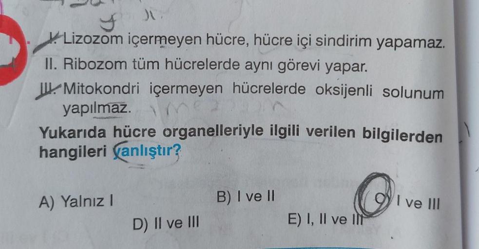 JU X Lizozom içermeyen hücre, hücre içi sindirim ya… Biyoloji JU X Lizozom içermeyen hücre, hücre içi sindirim ya… Biyoloji