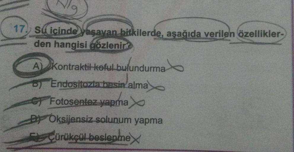 17. Su içinde yaşayan bitkilerde, aşağıda verilen özellikler-
den hangisi gözlenir?
A) Kontraktil koful bulundurma
lundurma
B) Endositazia besin alma
Fotosentez yapma
DOksijensiz solunum yapma
Çürükçül beslenme