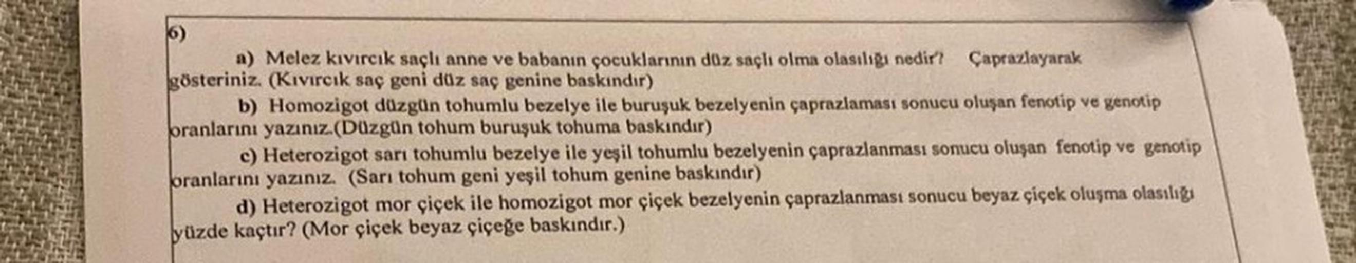 6)
a) Melez kıvırcık saçlı anne ve babanın çocuklarının düz saçlı olma olasılığı nedir? Çaprazlayarak
gösteriniz. (Kıvırcık saç geni düz saç genine baskındır)
b) Homozigot düzgün tohumlu bezelye ile buruşuk bezelyenin çaprazlaması sonucu oluşan fenotip ve