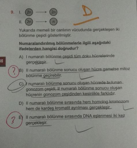 36
D
II. (2n)
Yukarıda memeli bir canlının vücudunda gerçekleşen iki
bölünme çeşidi gösterilmiştir.
9. 1. (2n)
(2n)
n
Numaralandırılmış bölünmelerle ilgili aşağıdaki
ifadelerden hangisi doğrudur?
A) I numaralı bölünme çeşidi tüm doku hücrelerinde
gerçekleş