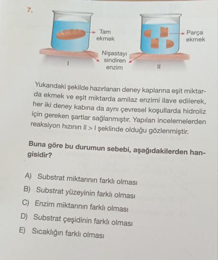 7.
Tam
ekmek
Nişastayı
sindiren
enzim
Parça
ekmek
Yukarıdaki şekilde hazırlanan deney kaplarına eşit miktar-
da ekmek ve eşit miktarda amilaz enzimi ilave edilerek,
her iki deney kabına da aynı çevresel koşullarda hidroliz
için gereken şartlar sağlanmıştır