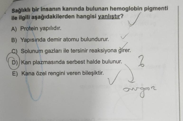 Sağlıklı bir insanın kanında bulunan hemoglobin pigmenti
ile ilgili aşağıdakilerden hangisi yanlıştır?
A) Protein yapılıdır.
B) Yapısında demir atomu bulundurur.
C) Solunum gazları ile tersinir reaksiyona girer.
D) Kan plazmasında serbest halde bulunur.
E)