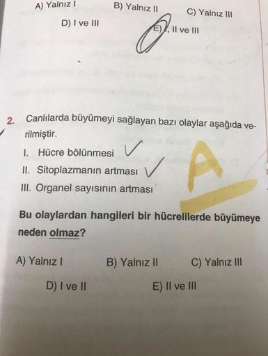 2.
A) Yalnız I
D) I ve III
B) Yalnız II
Q.
A) Yalnız I
Canlılarda büyümeyi sağlayan bazı olaylar aşağıda ve-
rilmiştir.
1. Hücre bölünmesi
II. Sitoplazmanın artması
III. Organel sayısının artması
D) I ve II
✓
✓
C) Yalnız III
Bu olaylardan hangileri bir hüc