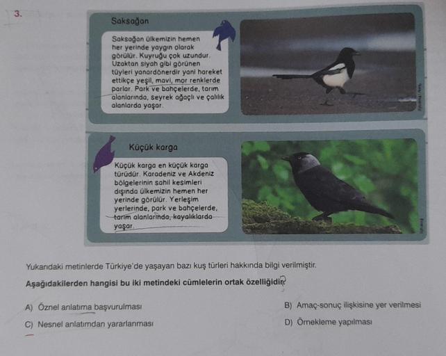 3.
Saksağan
Saksağan ülkemizin hemen
her yerinde yaygın olarak
görülür. Kuyruğu çok uzundur.
Uzaktan siyah gibi görünen
tüyleri yanardönerdir yani hareket
ettikçe yeşil, mavi, mor renklerde
parlar. Park ve bahçelerde, tarım
alanlarında, seyrek ağaçlı ve ça