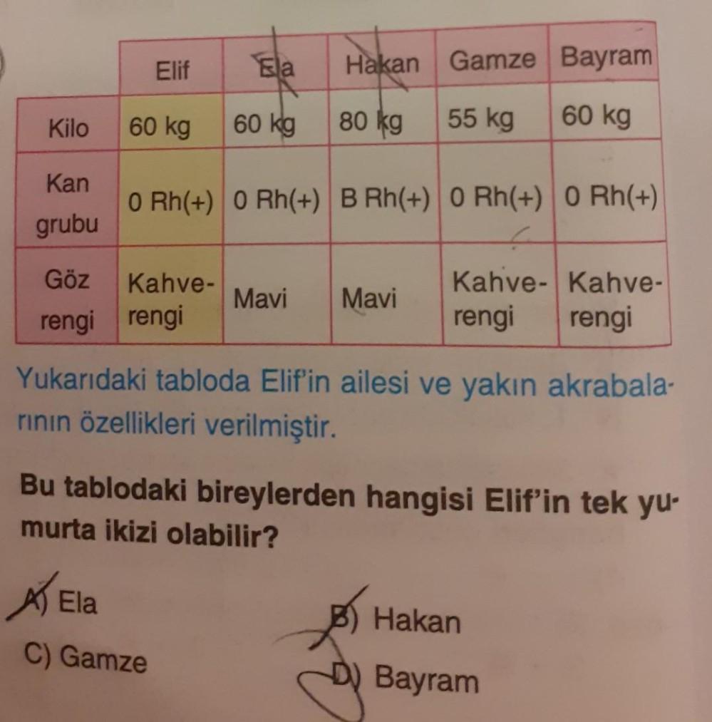 Kilo Kan grubu Elif 60 kg Göz rengi rengi ATE Ela Kahve- Ela 60 kg ...