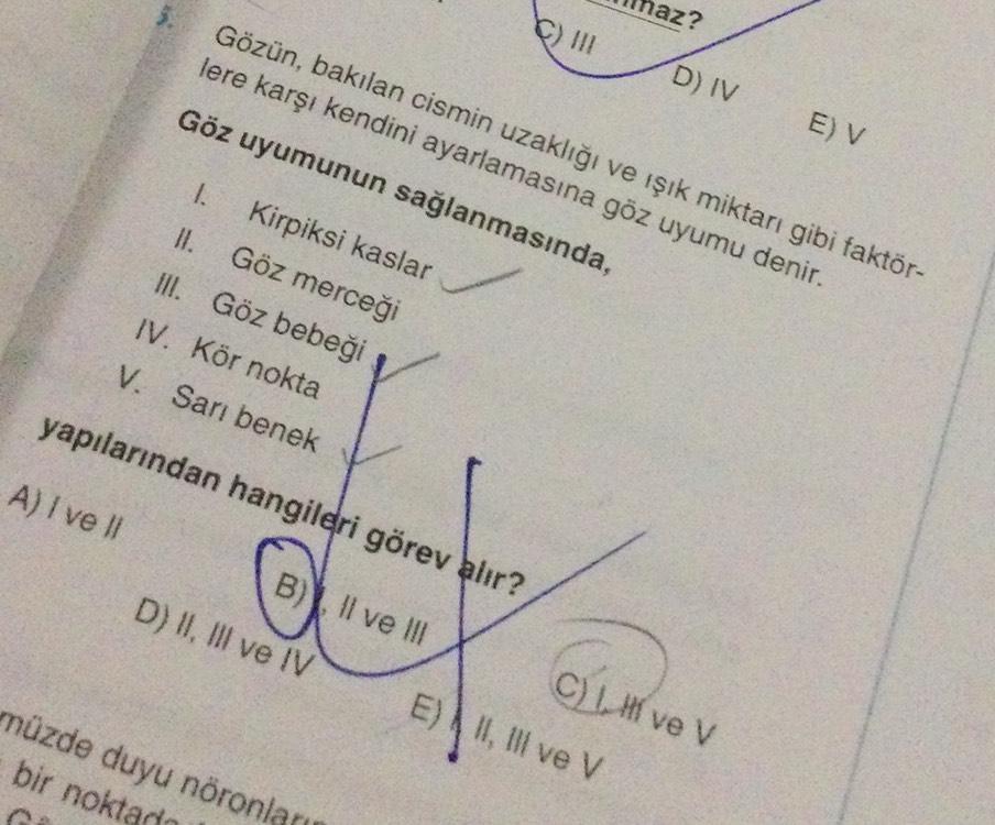 Gözün, bakılan cismin uzaklığı ve ışık miktarı gibi faktör-
lere karşı kendini ayarlamasına göz uyumu denir.
Göz uyumunun sağlanmasında,
C) III
1. Kirpiksi kaslar
Göz merceği
III. Göz bebeği
IV. Kör nokta
V. Sarı benek
yapılarından hangileri görev alır?
A)