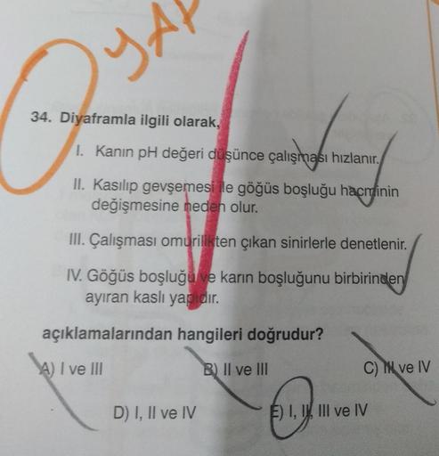 YA
R
34. Diyaframla ilgili olarak,
I. Kanın pH değeri düşünce çalışması hızlanır.
II. Kasılıp gevşemesi le göğüs boşluğu hacminin
değişmesine neden olur.
III. Çalışması omurilikten çıkan sinirlerle denetlenir.
IV. Göğüs boşluğu ve karın boşluğunu birbirind