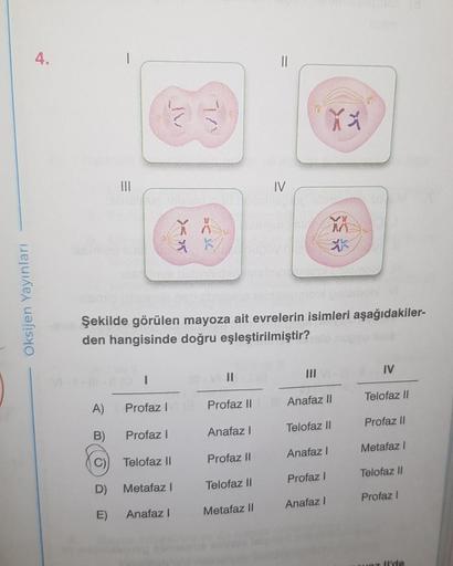 Oksijen Yayınları
4.
A)
B)
|||
D)
E)
I
Profaz I
Şekilde görülen mayoza ait evrelerin isimleri aşağıdakiler-
den hangisinde doğru eşleştirilmiştir?
Profaz I
Telofaz II
XX
* K
Metafaz I
Anafaz I
indic
||
Profaz II
Anafaz I
Profaz II
Telofaz II
IV
Metafaz II