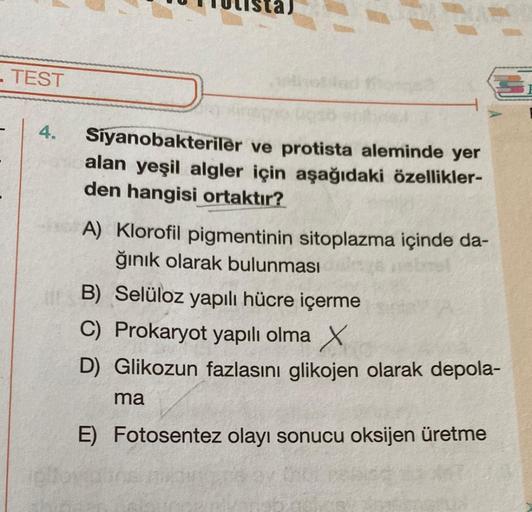 - TEST
4.
Siyanobakteriler ve protista aleminde yer
alan yeşil algler için aşağıdaki özellikler-
den hangisi ortaktır?
A) Klorofil pigmentinin sitoplazma içinde da-
ğınık olarak bulunması
B) Selüloz yapılı hücre içerme
C) Prokaryot yapılı olma X
D) Glikozu
