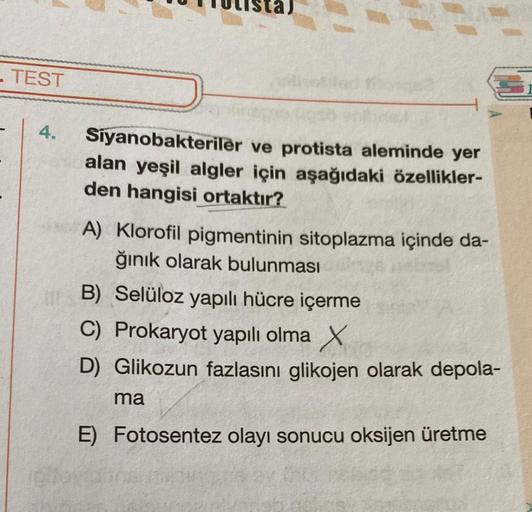 - TEST
4.
Siyanobakteriler ve protista aleminde yer
alan yeşil algler için aşağıdaki özellikler-
den hangisi ortaktır?
A) Klorofil pigmentinin sitoplazma içinde da-
ğınık olarak bulunması
B) Selüloz yapılı hücre içerme
C) Prokaryot yapılı olma X
D) Glikozu