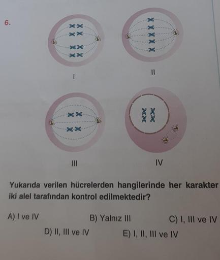 6.
X X
X X
|||
D) II, III ve IV
X X X X X
B) Yalnız III
||
**
Yukarıda verilen hücrelerden hangilerinde her karakter
iki alel tarafından kontrol edilmektedir?
A) I ve IV
IV
C) I, III ve IV
E) I, II, III ve IV