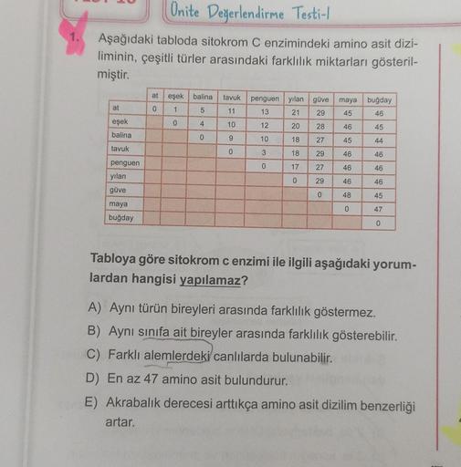 Unite Değerlendirme Testi-l
Aşağıdaki tabloda sitokrom C enzimindeki amino asit dizi-
liminin, çeşitli türler arasındaki farklılık miktarları gösteril-
miştir.
at
eşek
balina
tavuk
penguen
yılan
güve
maya
buğday
at eşek balina tavuk penguen yılan güve maya