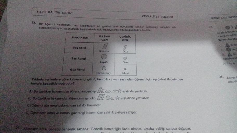 22.
8.SINIF KALITIM TESTİ-1
Bir öğrenci insanlarda bazı karakterlere ait genleri farklı büyüklükte şekiller kullanarak tablodaki gibi
sembolleştirmiştir. Insanlardaki karakterlerde tipki bezelyelerde olduğu gibi ifade edilebilir.
KARAKTER
Saç Şekli
Saç Ren