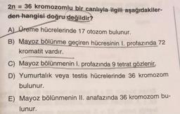 2n = 36 kromozomlu bir canlıyla ilgili aşağıdakiler-
den hangisi doğru değildir?
A) Üreme hücrelerinde 17 otozom bulunur.
B) Mayoz bölünme geçiren hücresinin 1. profazında 72
kromatit vardır.
C) Mayoz bölünmenin I. profazında 9 tetrat gözlenir.
D) Yumurtalık veya testis hücrelerinde 36 kromozom
bulunur.
E) Mayoz bölünmenin II. anafazında 36 kromozom bu-
lunur.