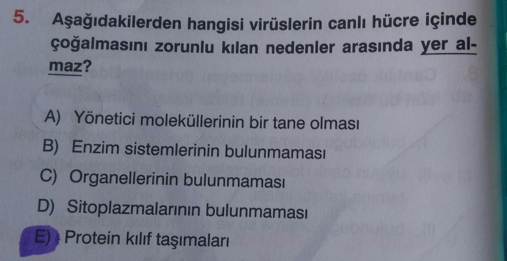 5. Aşağıdakilerden hangisi virüslerin canlı hücre içinde
çoğalmasını zorunlu kılan nedenler arasında yer al-
maz?
A) Yönetici moleküllerinin bir tane olması
B) Enzim sistemlerinin bulunmaması
C) Organellerinin bulunmaması
D) Sitoplazmalarının bulunmaması
E