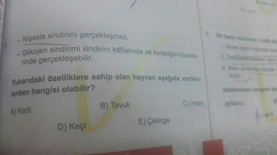 sindirimi gerçekleşmez.
- Nişasta
- Glikojen sindirimi sindirim kanalında ve karaciğer hücrele-
rinde gerçekleşebilir.
Yukarıdaki özelliklere sahip olan hayvan aşağıda verilen-
lerden hangisi olabilir?
A) Kedi
D) Keçi
B) Tavuk
E) Çekirge
C) Insan
1 Güney m