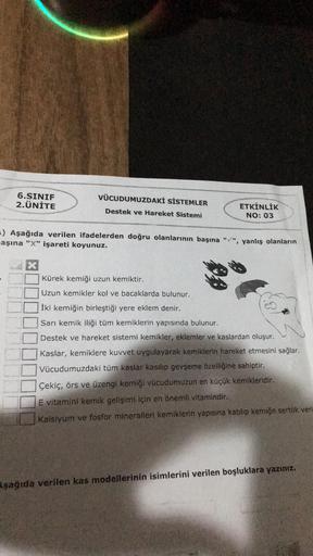 6.SINIF
2. ÜNİTE
VÜCUDUMUZDAKİ SİSTEMLER
Destek ve Hareket Sistemi
ETKİNLİK
NO: 03
=) Aşağıda verilen ifadelerden doğru olanlarının başına "", yanlış olanların
aşına "X" işareti koyunuz.
X
Kürek kemiği uzun kemiktir.
Uzun kemikler kol ve bacaklarda bulunur